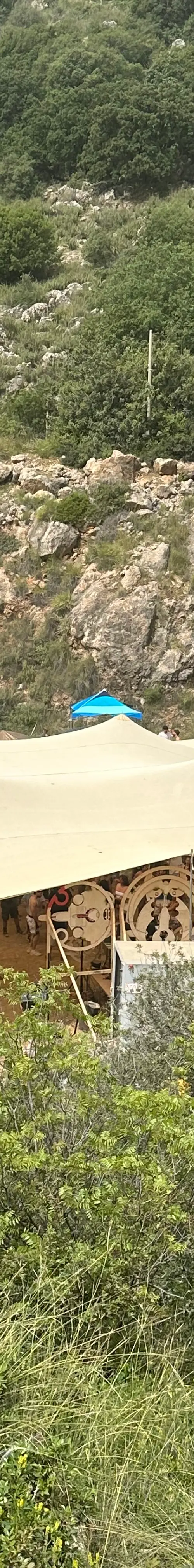 ציליות 